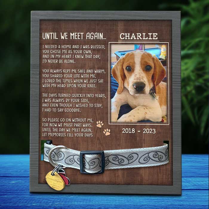 Until We Meet Again - Memorial Personalized Custom Pet Loss Sign, Collar Frame - Upload Image, Sympathy Gift, Gift For Pet Owners, Pet Lovers