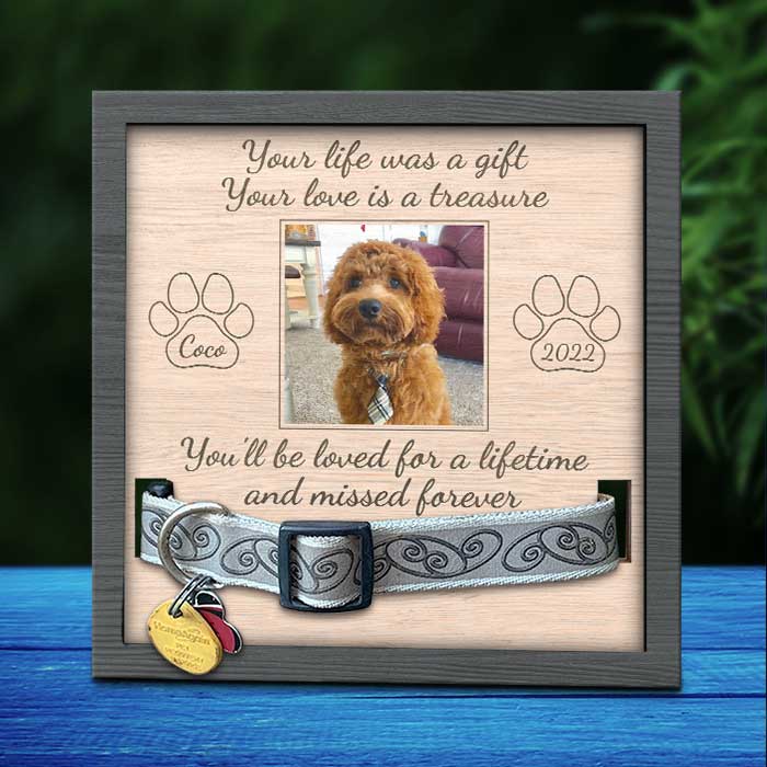 Your Love Is A Treasure - Memorial Personalized Custom Pet Loss Sign, Collar Frame - Upload Image, Sympathy Gift, Gift For Pet Owners, Pet Lovers