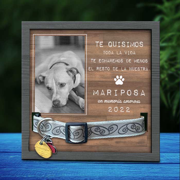 Los Mejores Amigos Llegan A Nuestras Vidas Y Dejan Huellas En Nuestros Corazones - Memorial Personalized Custom Pet Loss Sign, Collar Frame - Upload Image, Sympathy Gift, Gift For Pet Owners, Pet Love