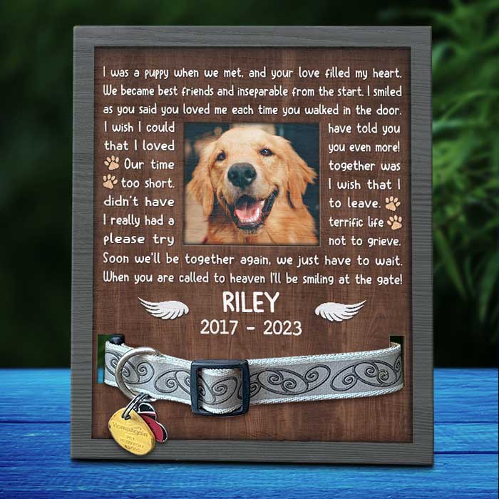 11x9in Pet Collar Frame - Memorial Personalized Custom Pet Loss Sign - Pet Memorial Gifts, Dog Memorial Gifts For Loss Of Dog, Dog Memorial Picture Frame, Pet Memorial Frame