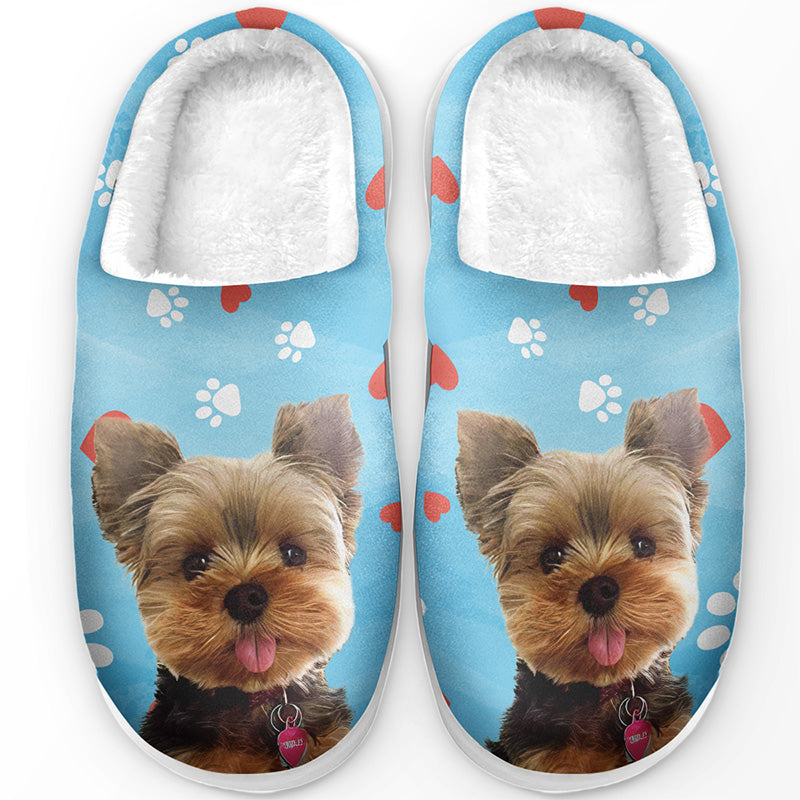 Custom Photo Pawsitively Chilly Merry And Bright - Dog & Cat Personalized Custom Fluffy Slippers - Gift For Pet Owners, Pet Lovers