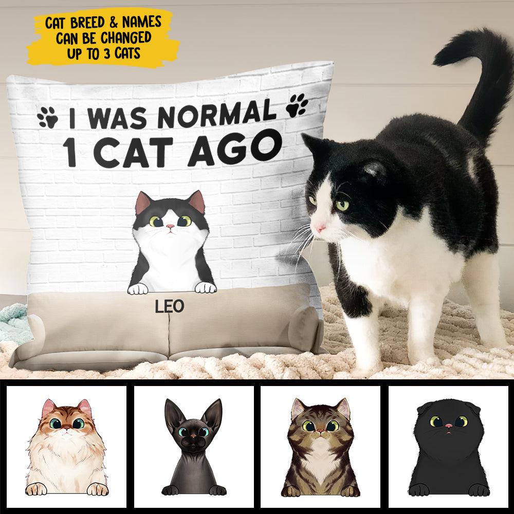 I Was Normal With My Cats - Funny Personalized Cat Pillow (Insert Included)